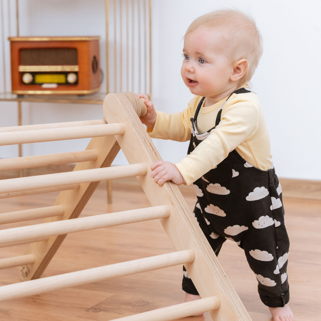SIPITRI® dviejų segmentų trikampė laipynė su čiuožimo ir laipiojimo rampa