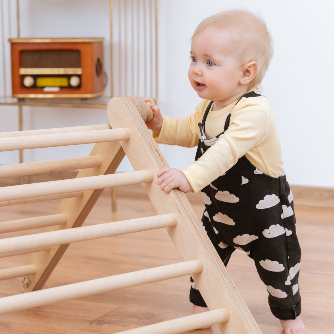 SIPITRI® dviejų segmentų trikampė laipynė su čiuožimo ir laipiojimo rampa